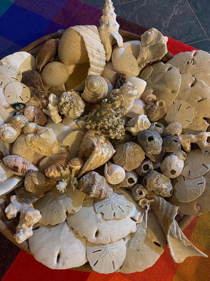 Uverito Sand Dollar B&B Las Tablas Dış mekan fotoğraf